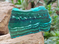 Polished Malacolla Slices x 6 From Kulukuluku, Congo