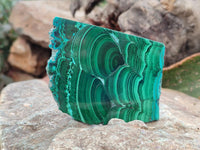 Polished Malacolla Slices x 6 From Kulukuluku, Congo