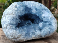 Natural Blue Celestite Geode Specimen x 1 From Sakoany, Madagascar