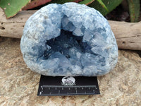 Natural Blue Celestite Geode Specimen x 1 From Sakoany, Madagascar