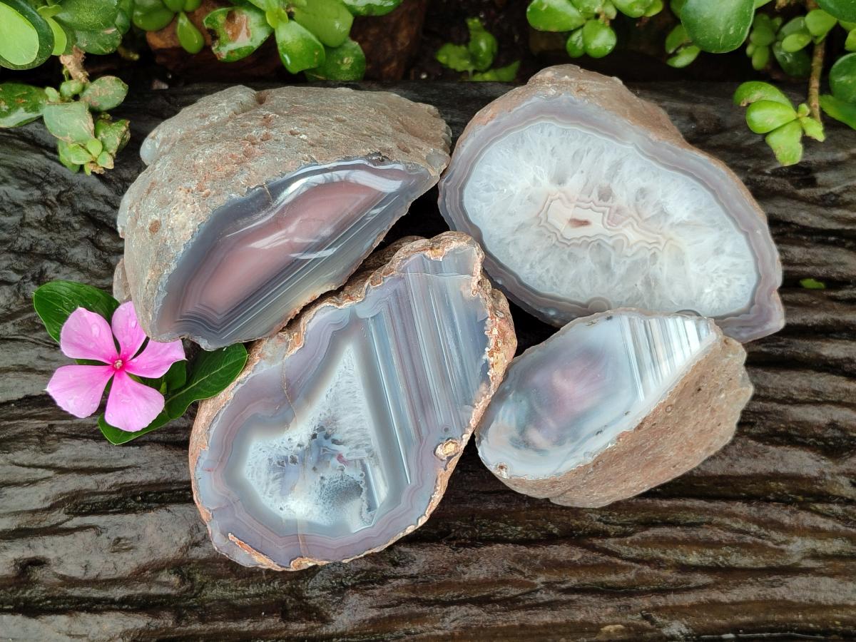 Polished On One Side Red Shashe River Agate Nodules x 4 From Shashe River, Zimbabwe