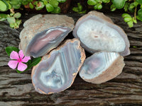 Polished On One Side Red Shashe River Agate Nodules x 4 From Shashe River, Zimbabwe