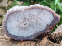 Polished On One Side Red Shashe River Agate Nodules x 4 From Shashe River, Zimbabwe