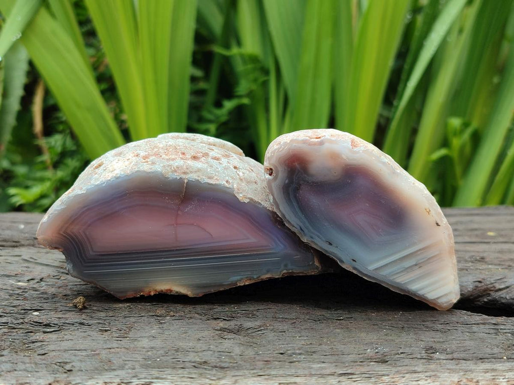 Polished On One Side Red Shashe River Agate Nodules x 4 From Shashe River, Zimbabwe