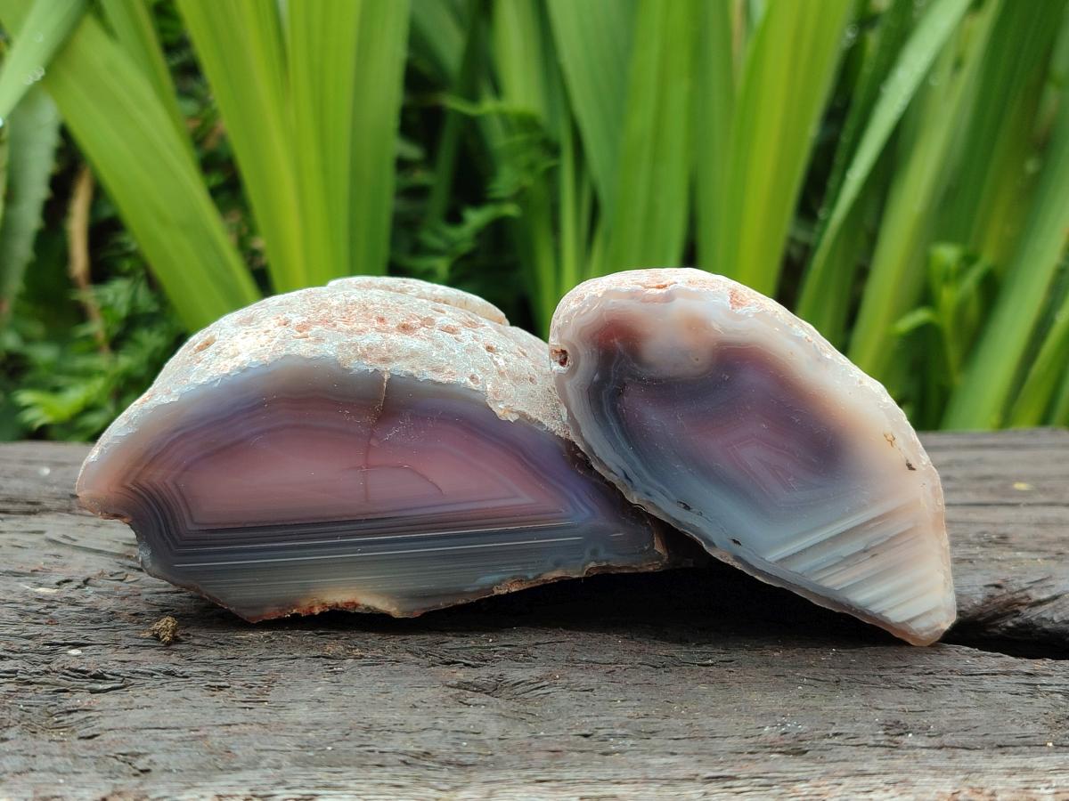 Polished On One Side Red Shashe River Agate Nodules x 4 From Shashe River, Zimbabwe