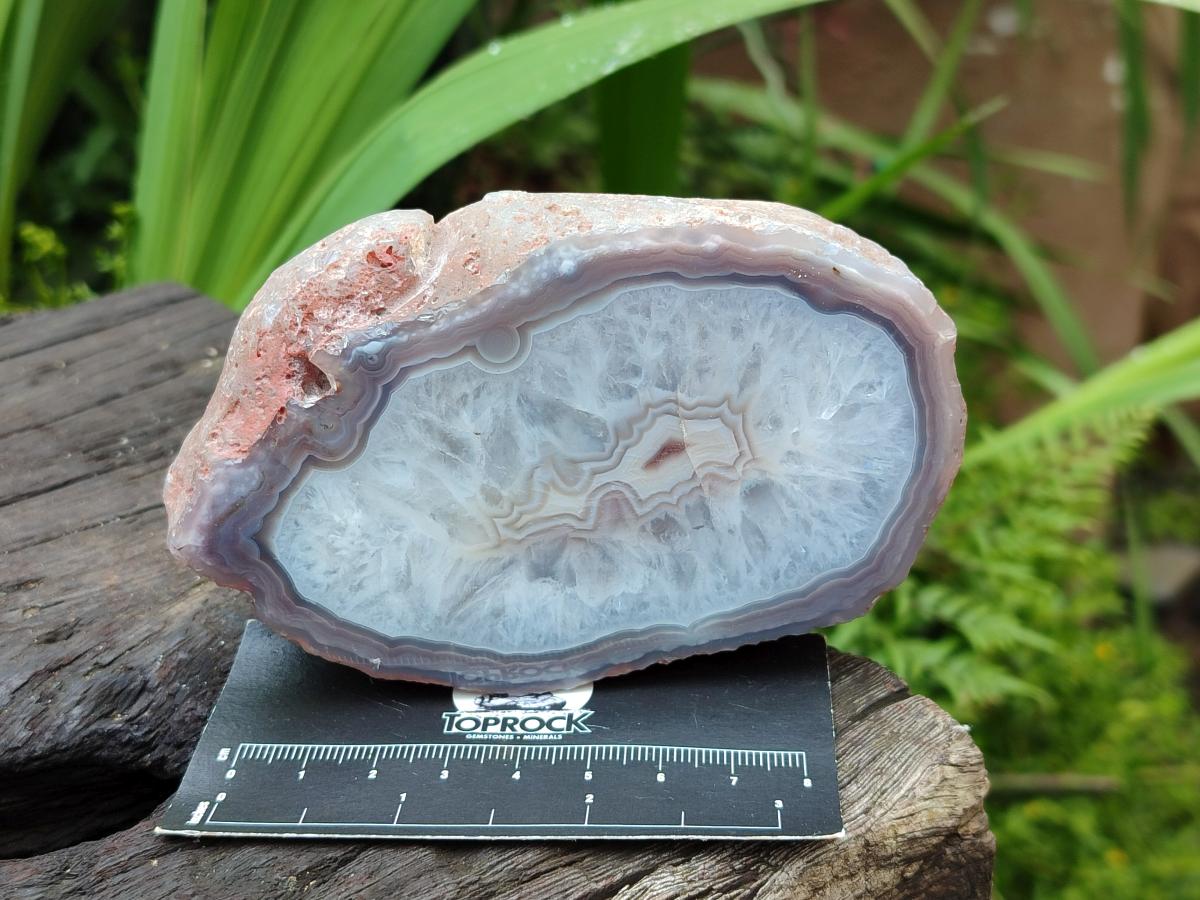 Polished On One Side Red Shashe River Agate Nodules x 4 From Shashe River, Zimbabwe