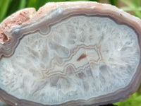 Polished On One Side Red Shashe River Agate Nodules x 4 From Shashe River, Zimbabwe