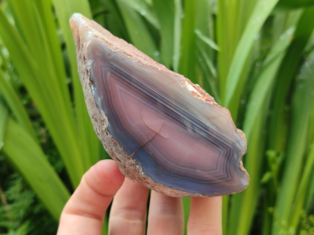 Polished On One Side Red Shashe River Agate Nodules x 4 From Shashe River, Zimbabwe