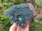 Natural Libethenite Crystals On Dolomite Matrix Specimens x 2 From Shituru, Congo