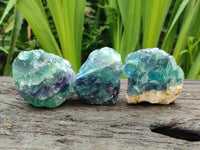 Natural Watermelon Fluorite Cobbed Specimens x 24 From Uis, Namibia