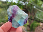 Natural Watermelon Fluorite Cobbed Specimens x 24 From Uis, Namibia