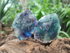 Natural Watermelon Fluorite Cobbed Specimens x 24 From Uis, Namibia