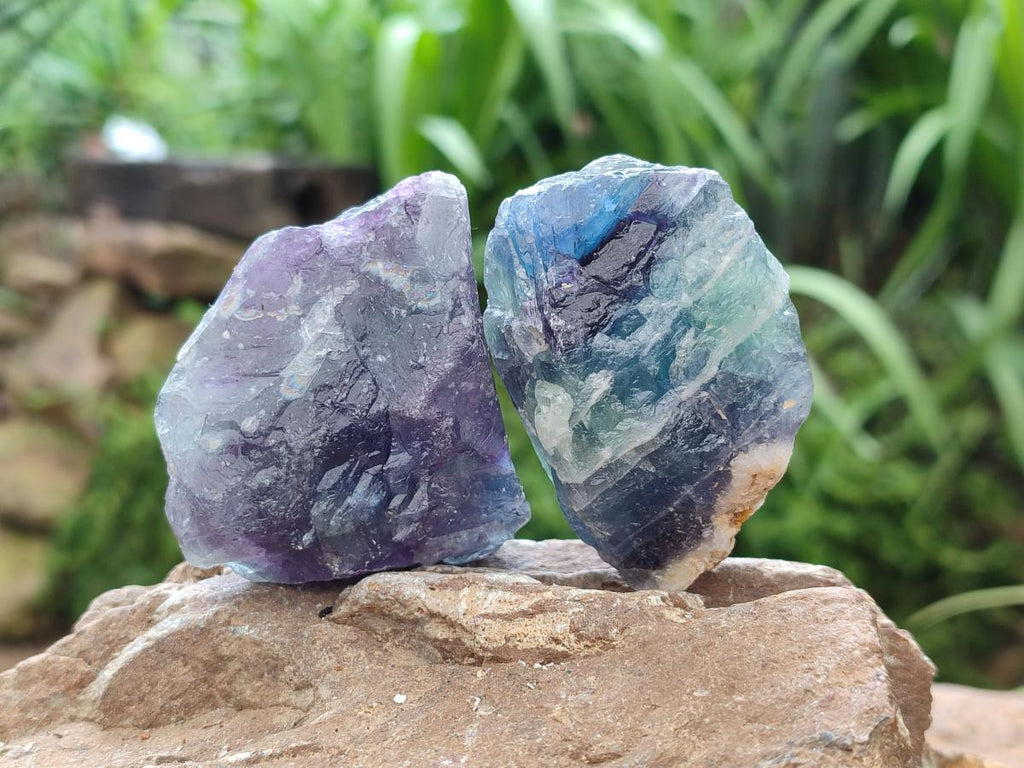 Natural Watermelon Fluorite Cobbed Specimens x 24 From Uis, Namibia