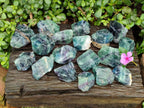 Natural Watermelon Fluorite Cobbed Specimens x 24 From Uis, Namibia