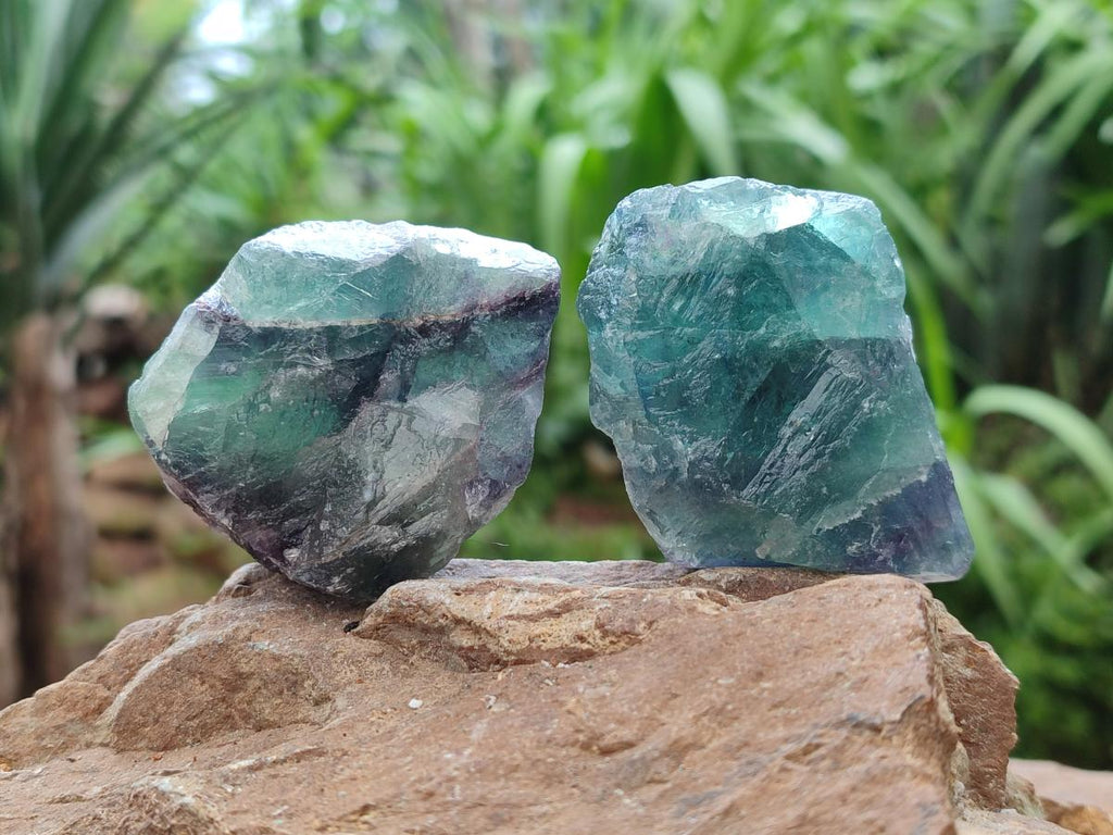 Natural Watermelon Fluorite Cobbed Specimens x 24 From Uis, Namibia
