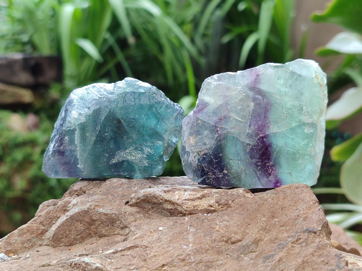 Natural Watermelon Fluorite Cobbed Specimens x 24 From Uis, Namibia