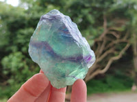 Natural Watermelon Fluorite Cobbed Specimens x 24 From Uis, Namibia