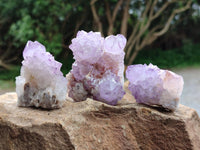 Natural Cactus Flower Amethyst Spirit Clusters x 12 From South Africa