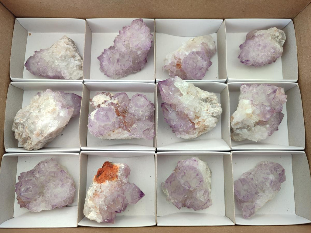 Natural Cactus Flower Amethyst Spirit Clusters x 12 From South Africa