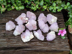 Natural Cactus Flower Amethyst Spirit Clusters x 12 From South Africa