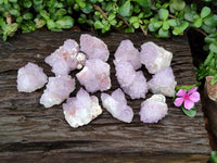 Natural Cactus Flower Amethyst Spirit Clusters x 12 From South Africa