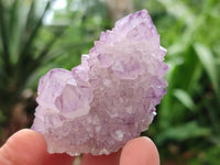 Natural Cactus Flower Amethyst Spirit Clusters x 12 From South Africa