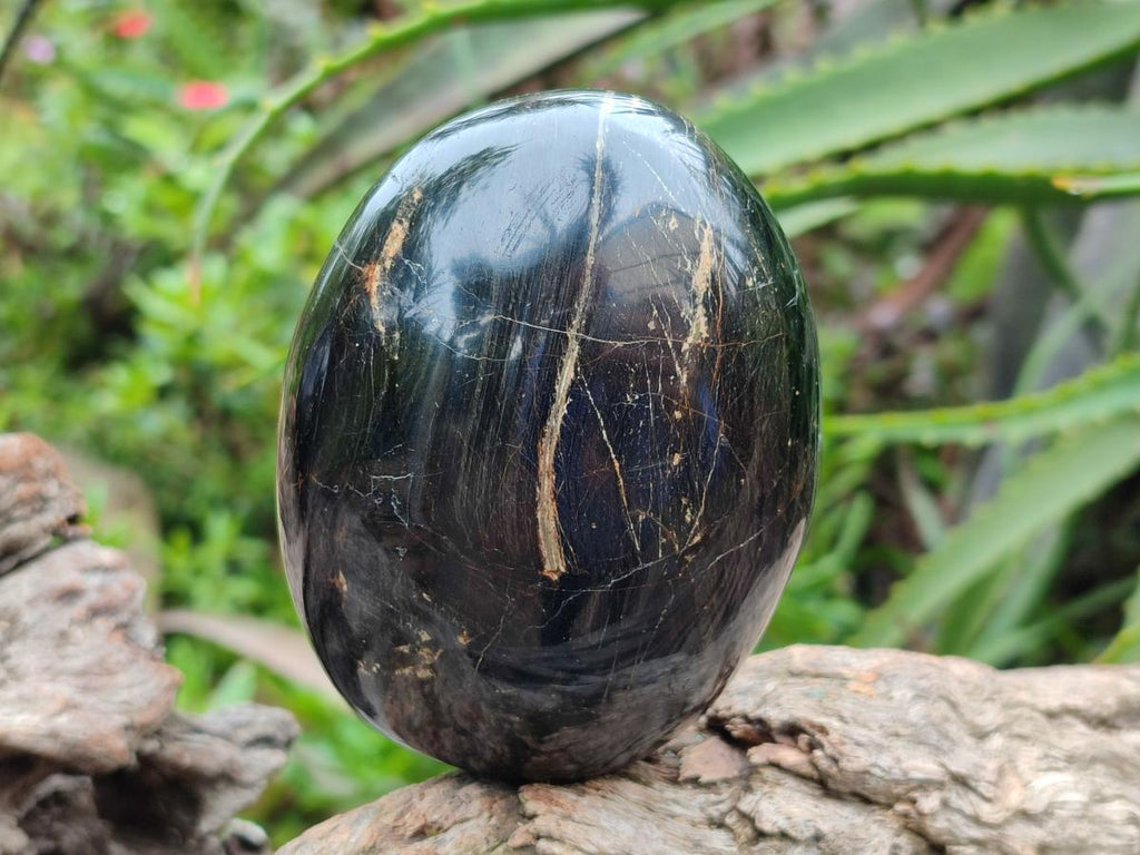 Polished Black Tourmaline Free Forms x 3 From Madagascar