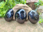 Polished Black Tourmaline Free Forms x 3 From Madagascar