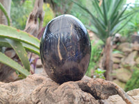 Polished Black Tourmaline Free Forms x 3 From Madagascar