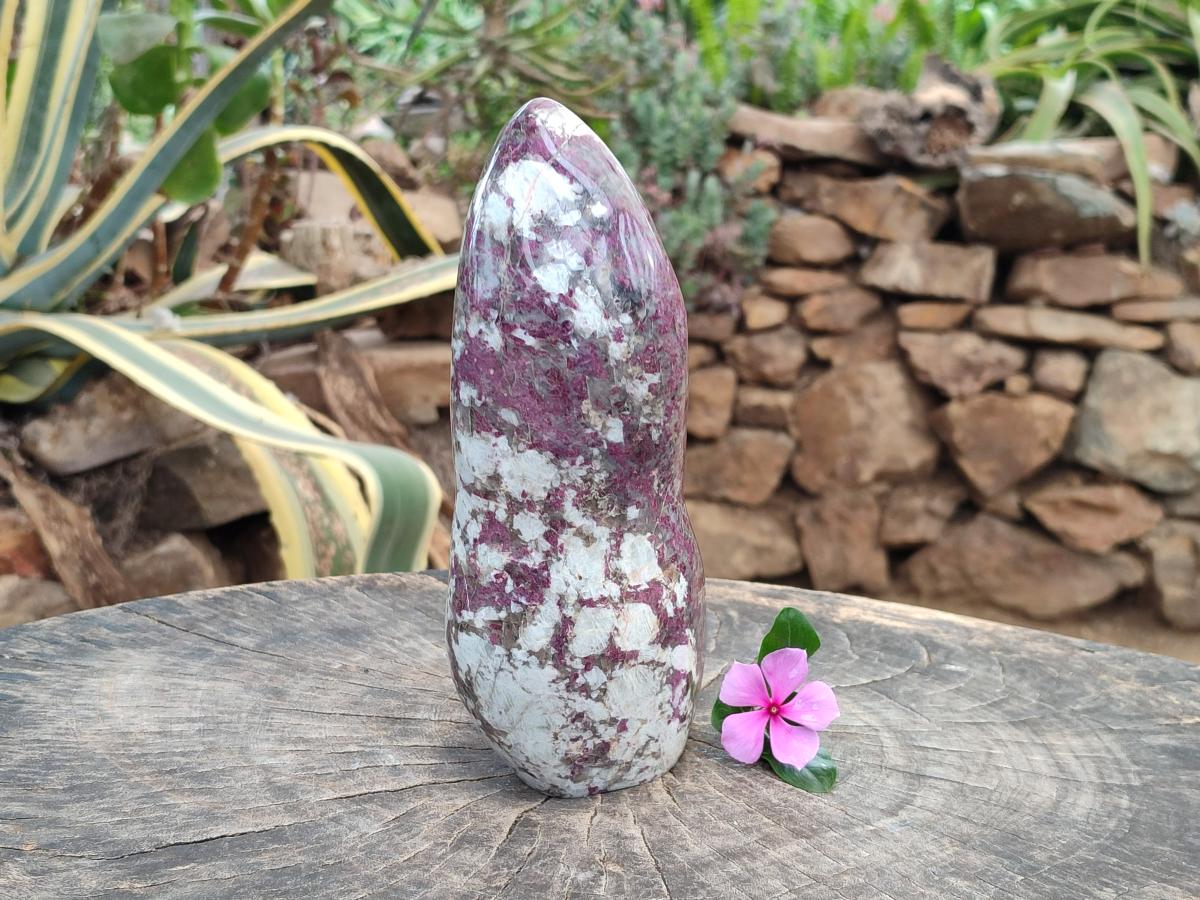 Polished Rubellite Pink Tourmaline Standing Free Form x 1 From Ambatondrazaka, Madagascar