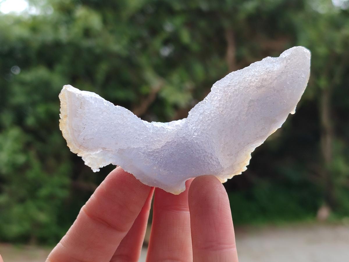 Natural Etched Blue Chalcedony Geode Specimens x 12 From Nsanje, Malawi