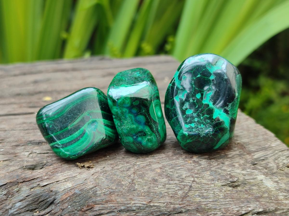 Polished Flower Banded Malachite Free Forms x 35 From Congo