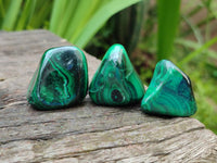 Polished Flower Banded Malachite Free Forms x 35 From Congo