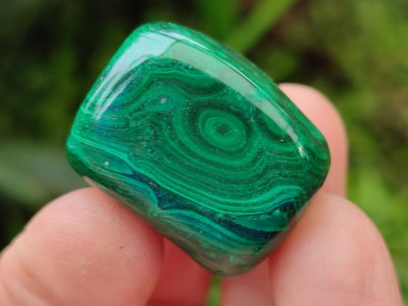 Polished Flower Banded Malachite Free Forms x 35 From Congo