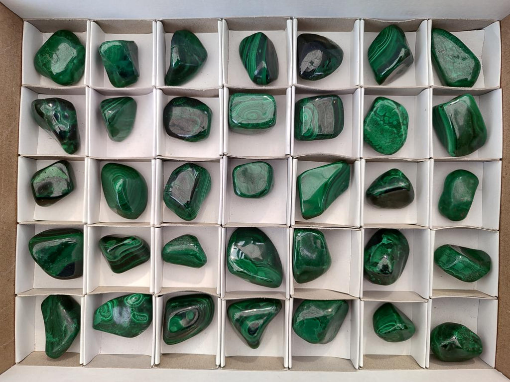 Polished Flower Banded Malachite Free Forms x 35 From Congo