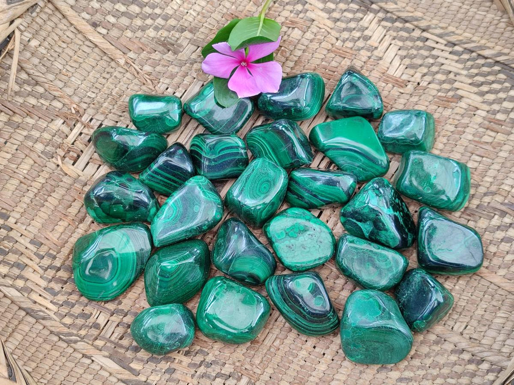 Polished Flower Banded Malachite Free Forms x 35 From Congo