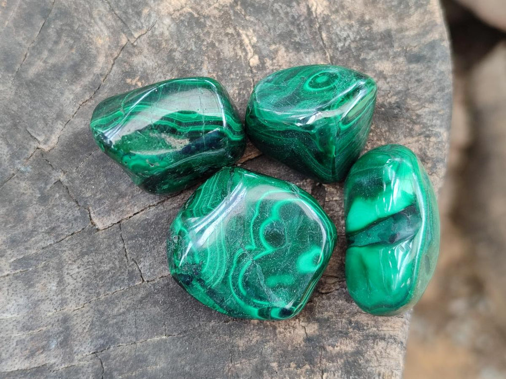 Polished Flower Banded Malachite Free Forms x 35 From Congo