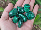 Polished Flower Banded Malachite Free Forms x 35 From Congo