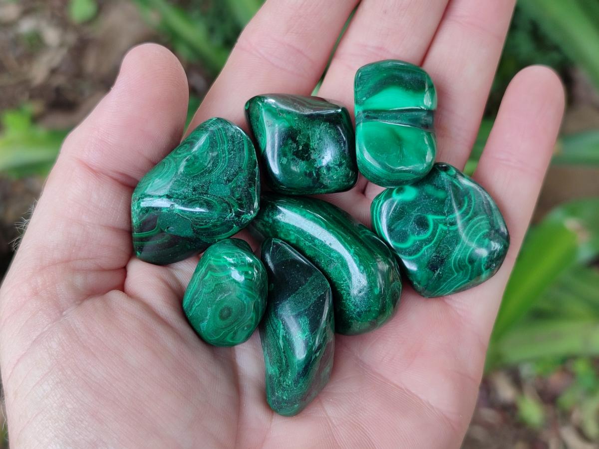 Polished Flower Banded Malachite Free Forms x 35 From Congo
