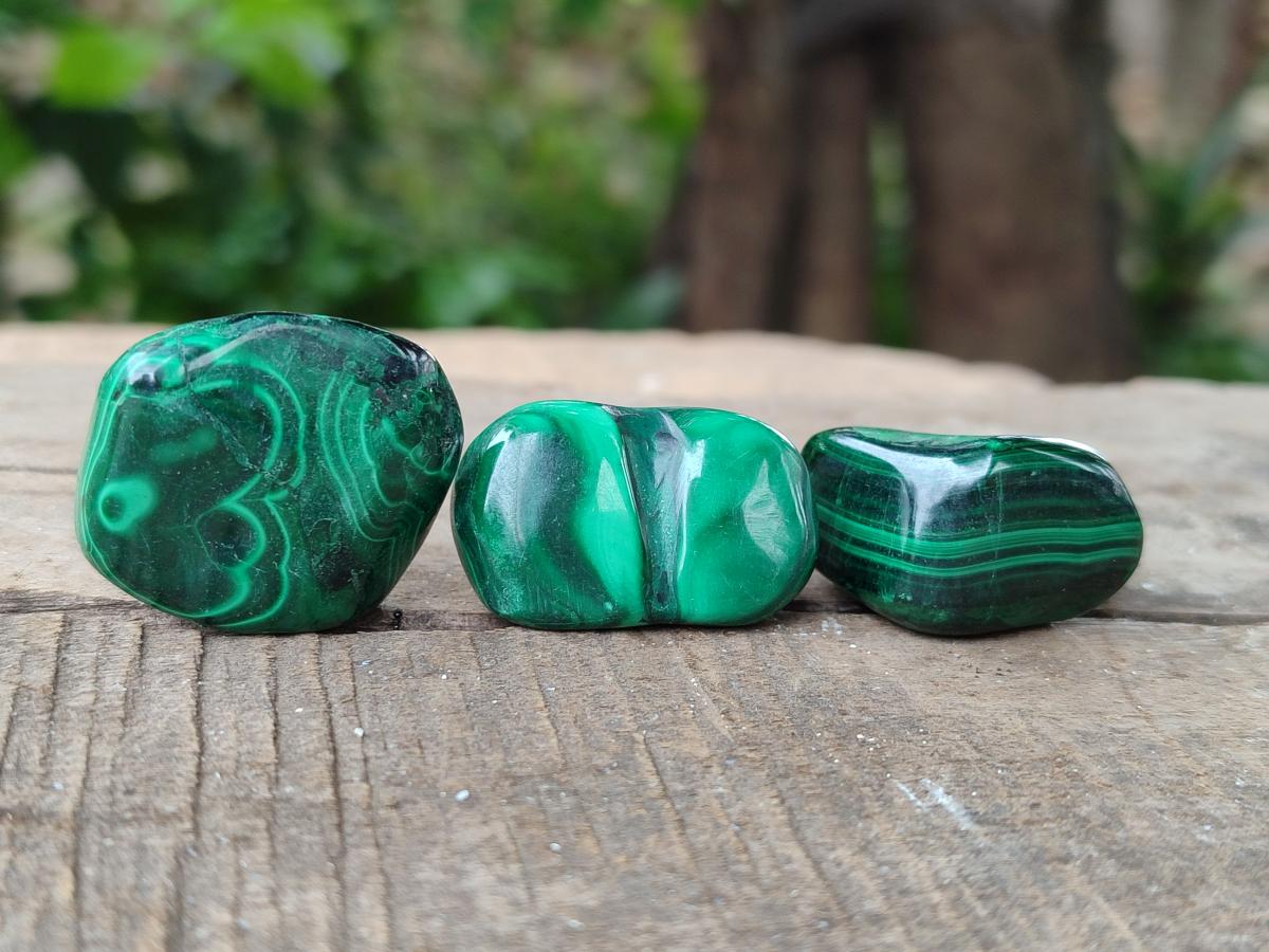 Polished Flower Banded Malachite Free Forms x 35 From Congo
