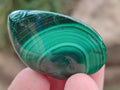 Polished Flower Banded Malachite Free Forms x 35 From Congo