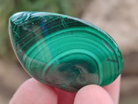 Polished Flower Banded Malachite Free Forms x 35 From Congo