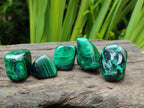 Polished Flower Banded Malachite Free Forms x 35 From Congo