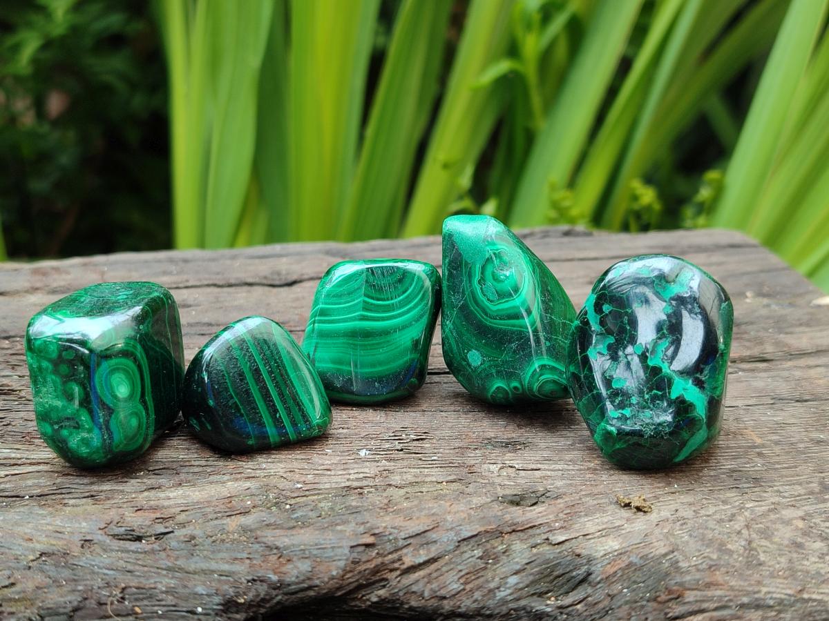 Polished Flower Banded Malachite Free Forms x 35 From Congo