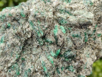 Natural Emerald Mica 'Mutokolite' Cobbed Specimens x 2 From Mutoko, Zimbabwe