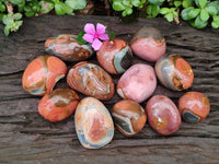 Polished On One Side Polychrome Jasper Nodules x 12 From NW Coast, Madagascar