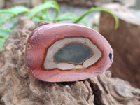 Polished On One Side Polychrome Jasper Nodules x 12 From NW Coast, Madagascar