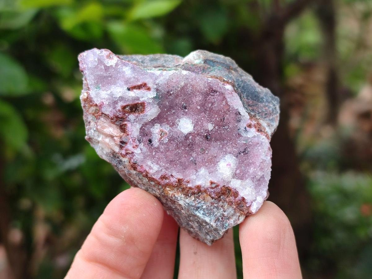 Natural Salrose Cobaltion Dolomite Specimens x 12 From Kakanda, Congo