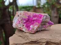 Natural Salrose Cobaltion Dolomite Specimens x 12 From Kakanda, Congo