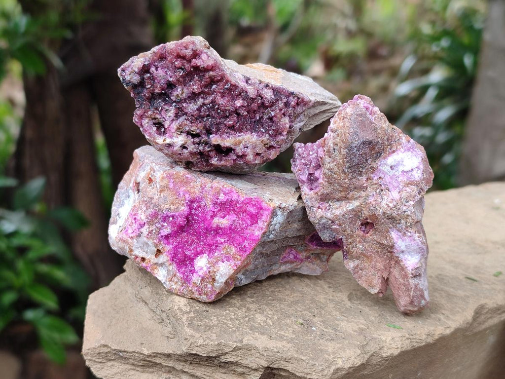 Natural Salrose Cobaltion Dolomite Specimens x 12 From Kakanda, Congo